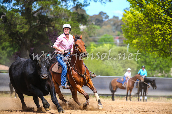 OrangeCampdraft2017_1421