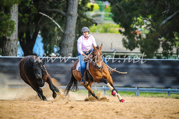 OrangeCampdraft2017_2780