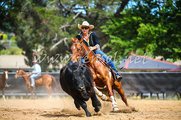 OrangeCampdraft2017_1528