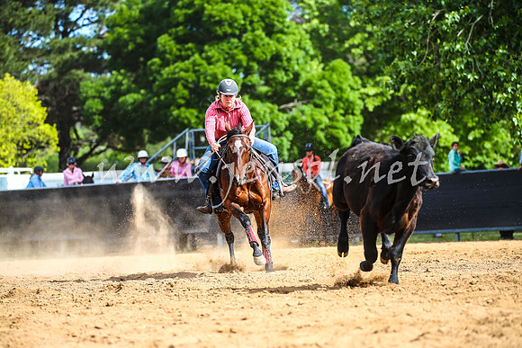 OrangeCampdraft2017_2114