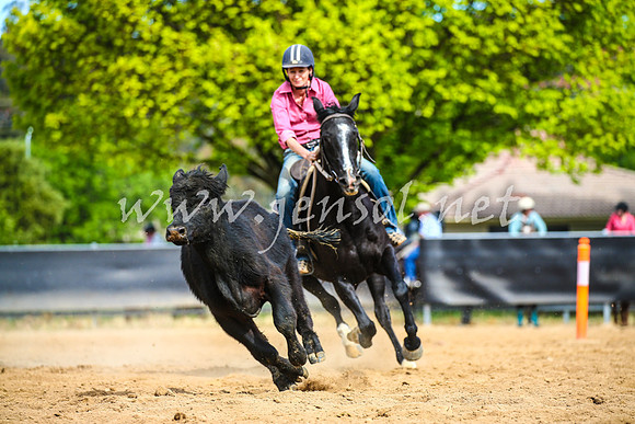 OrangeCampdraft2017_2033
