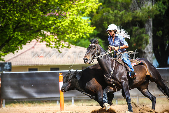 OrangeCampdraft2017_1258