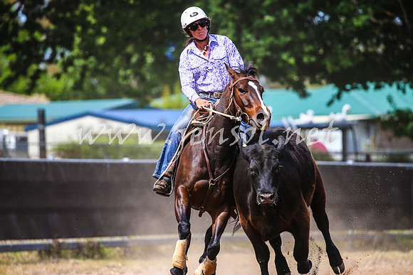 OrangeCampdraft2017_1482