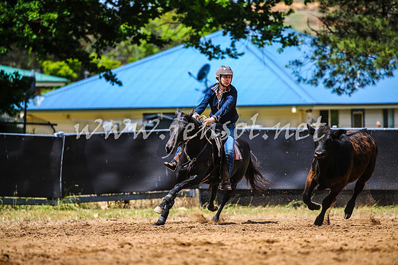 OrangeCampdraft2017_0434