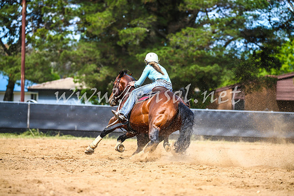 OrangeCampdraft2017_1787