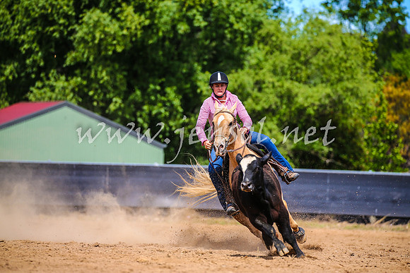 OrangeCampdraft2017_1344