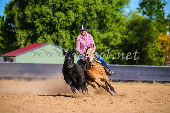 OrangeCampdraft2017_2550