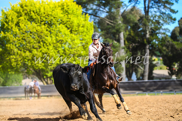 OrangeCampdraft2017_2514