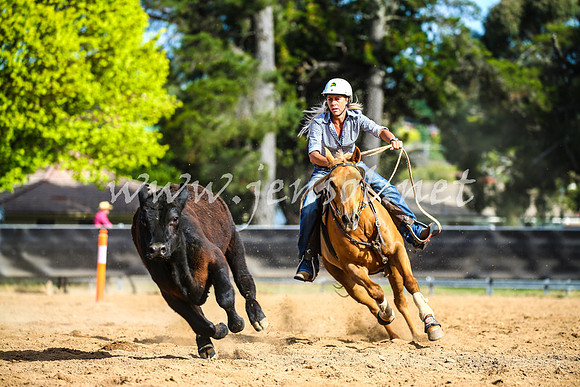 OrangeCampdraft2017_2365