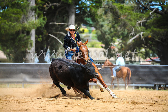 OrangeCampdraft2017_1519