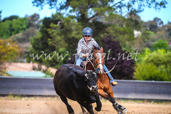 OrangeCampdraft2017_2012