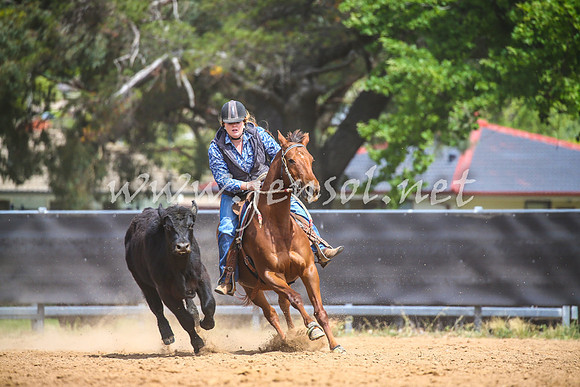 OrangeCampdraft2017_1334