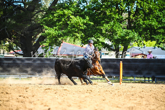 OrangeCampdraft2017_2495