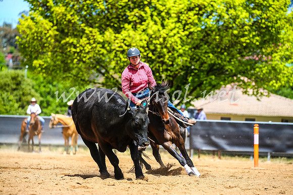 OrangeCampdraft2017_0614