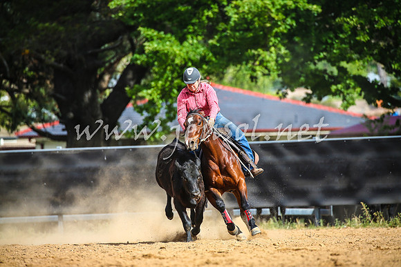 OrangeCampdraft2017_2198