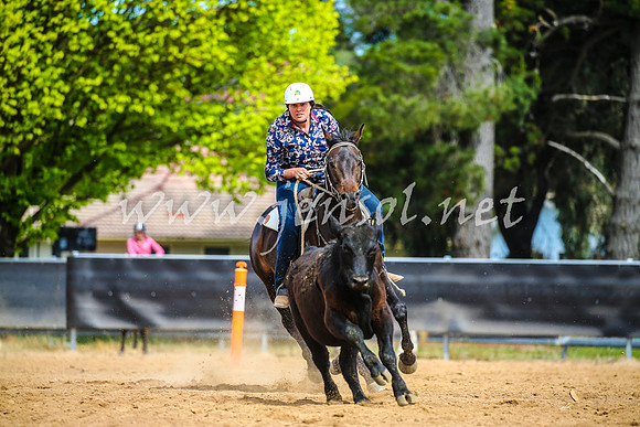 OrangeCampdraft2017_1844