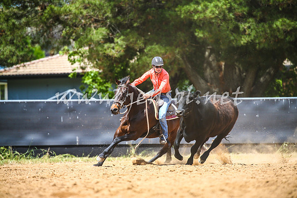 OrangeCampdraft2017_0814