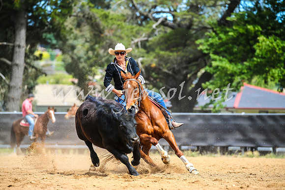 OrangeCampdraft2017_1514