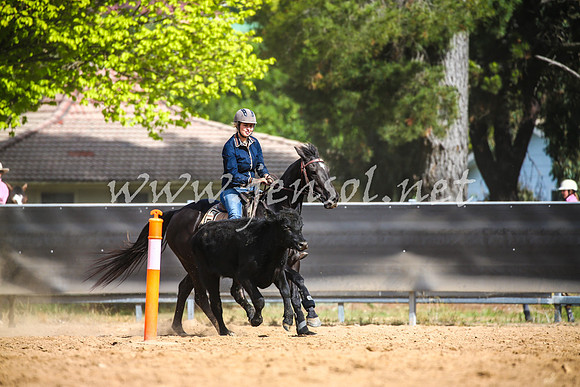 OrangeCampdraft2017_2303