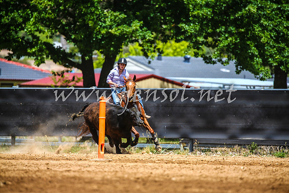 OrangeCampdraft2017_0351