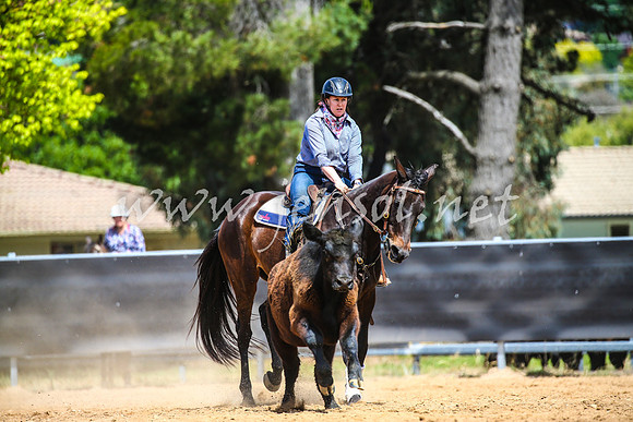 OrangeCampdraft2017_1024