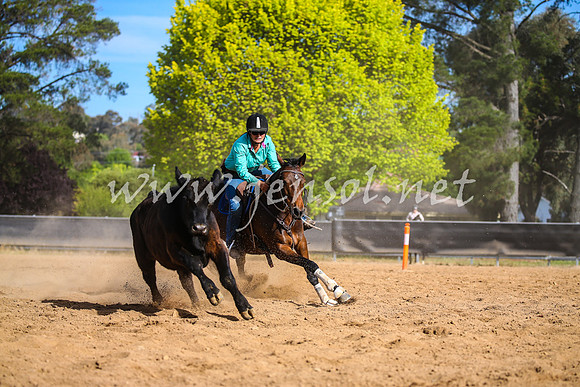 OrangeCampdraft2017_2541