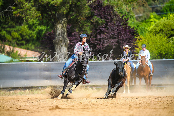 OrangeCampdraft2017_2263