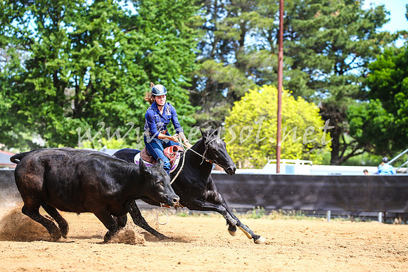 OrangeCampdraft2017_1456
