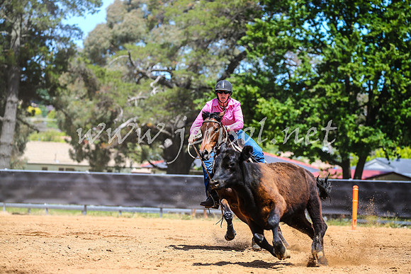 OrangeCampdraft2017_0563