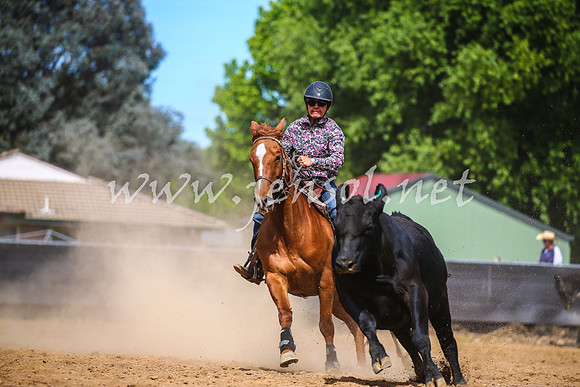 OrangeCampdraft2017_1434