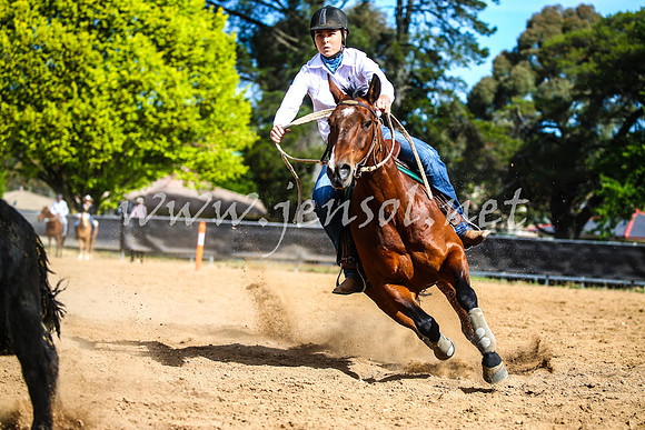 OrangeCampdraft2017_2218