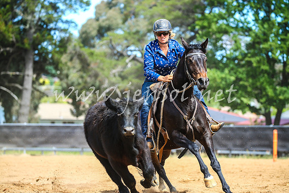 OrangeCampdraft2017_1367