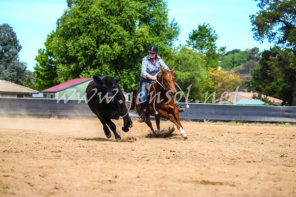 OrangeCampdraft2017_1890
