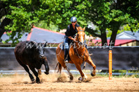 OrangeCampdraft2017_0464