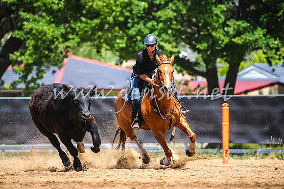 OrangeCampdraft2017_0464