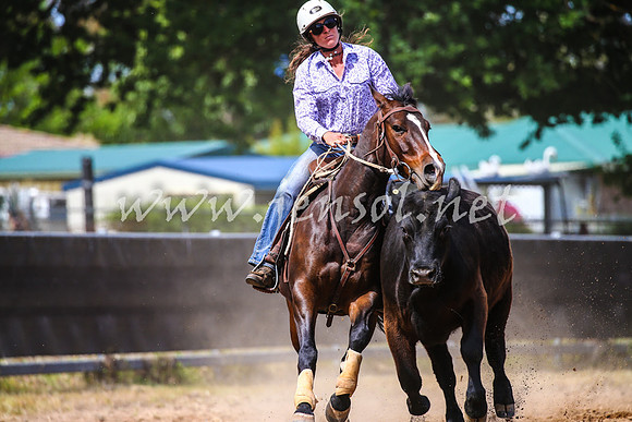 OrangeCampdraft2017_1486