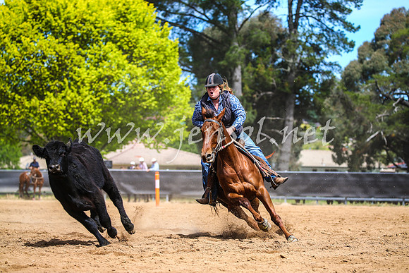 OrangeCampdraft2017_1293