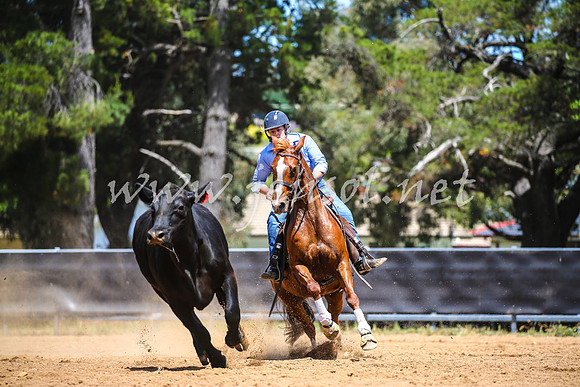 OrangeCampdraft2017_0545