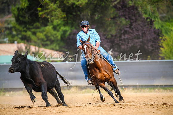 OrangeCampdraft2017_2089