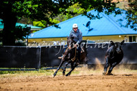 OrangeCampdraft2017_0406
