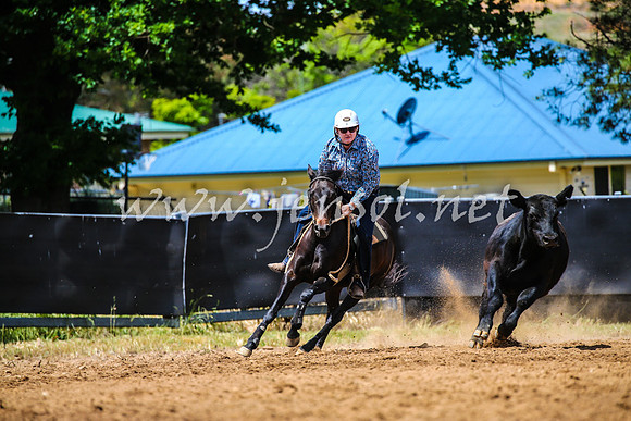 OrangeCampdraft2017_0406