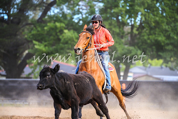 OrangeCampdraft2017_2636