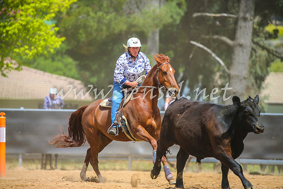 OrangeCampdraft2017_1045
