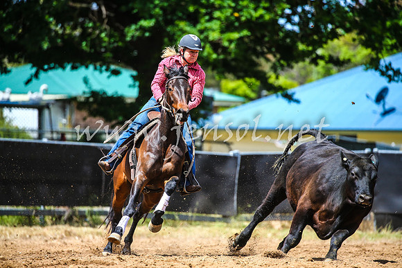 OrangeCampdraft2017_0690