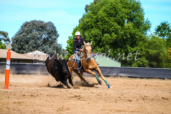 OrangeCampdraft2017_1967