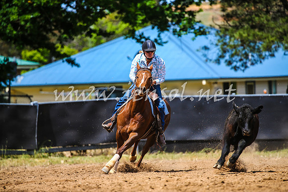 OrangeCampdraft2017_0785