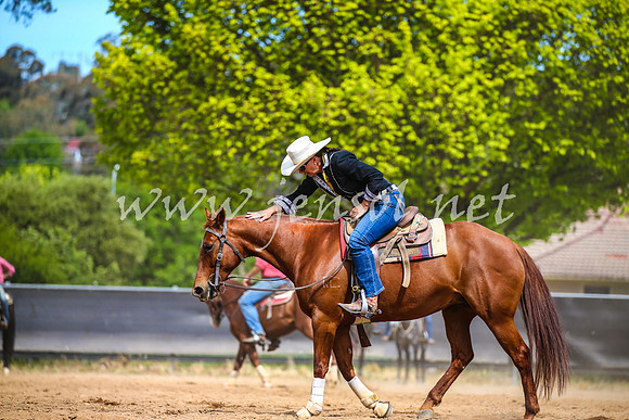 OrangeCampdraft2017_1616