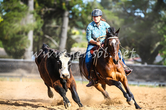 OrangeCampdraft2017_2558