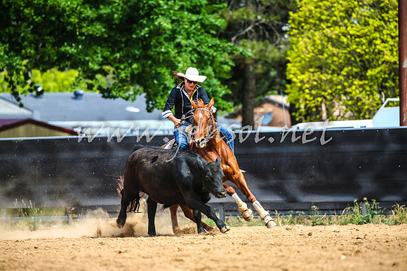 OrangeCampdraft2017_1586