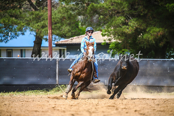 OrangeCampdraft2017_1755